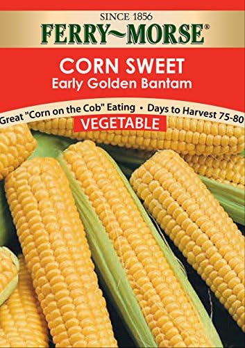Ferry Morse Corn, Early Golden Bantam