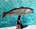Taxidermy 20" Fiberglass Weakfish Sculpture Statue