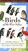 Birds of the West Indies (Princeton Field Guides)