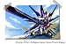 Gundam Seed Destiny Animated Comi, Taille: 24