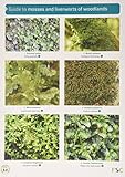 Guide to mosses and liverworts of woodlands