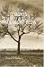 Search : In the Lights of a Midnight Plow
