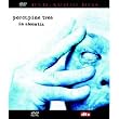 In Absentia