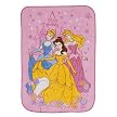 Disney Princess Blanket