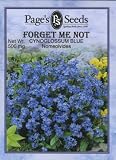 Forget-Me-Not