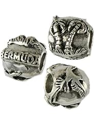Sterling Silver Reller Bermuda Story Bead Charm 13325