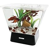 Tetra 29050 LED Betta Tank, 1-Gallon