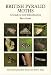 British Pyralid Moths: A Guide to Their Identification (Guide to Identification)