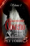 ILUSIONISMO OBSCENO ( IN�CIO - VOLUME 1 ) ( ROMANCE )
