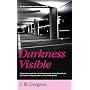 Darkness Visible (Lambert and Hook Mysteries)