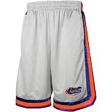 Florida Gators Silver Transition Mesh Shorts