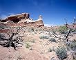 Desert Southwest Photograph - Beautiful 16x20-inch Photographic Print by Carol M. Highsmith