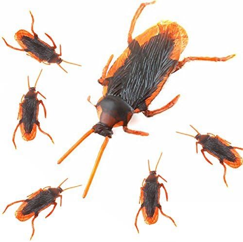 Women's Fake Roaches Prank Novelty Cockroach Bugs Look Real, Pack of 60