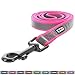 Pawtitas 6 FT Padded Dog Leash with Comfortable Neoprene Padding Handle - Pink Lead | Medium Reflective Dog Leash with Highly Reflective Band Perfect for Medium and Large Dogs and Puppies.