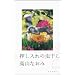 ��������̒����� (�^�钆BOOKS)