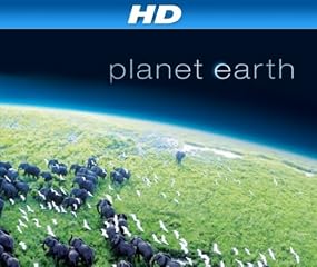 play video on Amazon Video on Demand