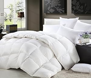 1200 Thread Count FULL / QUEEN Size Siberian Goose Down Comforter 100% Egyptian Cotton 750FP, 50oz & 1200TC - White Stripe