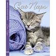 Cat Naps 2009 Engagement Diary Calendar