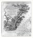 Historic Print (L): The province of New Jersey, divided into east and west, commonly called the Jerseys / en