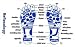 Pack of 20 Reflexology Cards
