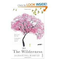 The Wilderness
