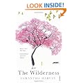 The Wilderness