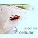 Cellular Image