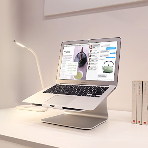 Imagen 5 de spinido Spinido