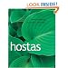 Hostas