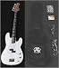 SX BG1K WT Bass Guitar Package White w/BA 1565 AMP, Strap, &amp; Instructional DVD