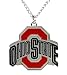 Ohio State Buckeyes - NCAA Logo Pendant Necklace