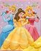 Disney Princess Rose Bouquet Royal Plush Raschel Throw