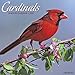 2016 Cardinals Wall Calendar