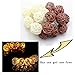 Letsun Globe Rattan Ball String Lights, 7.5feet 20 LED Warm White Fairy Lights, White and Brown, Battery-Operated, for Indoor,Bedroom,Curtain,Fairy Garden,Home,Wedding,Holiday,Christmas Tree,Party