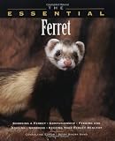 The Essential Ferret (Essential Guide)