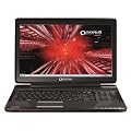 Toshiba Qosmio F750-12V 39,6 cm (15,6 Zoll) 3D Notebook (Intel Core i7 2670QM, 2,2GHz, 8GB RAM, 750GB HDD, NVIDIA GT 540M, Blu-ray, Win 7 HP)