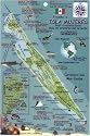 Isla Mujeres Reef Fish and Creature Guide