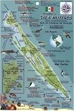 Isla Mujeres Reef Fish and Creature Guide