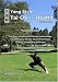 Yang Style Tai Chi for Health Volume One: Fundamentals