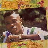 Wayne Wonder -  Don't Have To