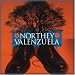 Northey Valenzuela