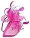 Womens Formal Party Fascinator Hat with Headband for Cocktail