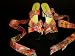 Silk Ankle Wrap Sandal 7.5 in Huichol Pink