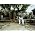Vignette de Horace Andy