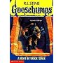 Goosebumps No. 25 - A Night in Terror Tower von R. L. Stine