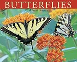 Butterflies of North America 2009 Calendar