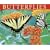 Butterflies of North America 2009 Calendar