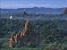 Photo Jigsaw 16x12 (40x30cm) The Forgotten Temples of Pagan, north of Myanmar, Burma by Arcaid