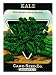 Kale Seed Packet Giclee Poster Print, 24x32