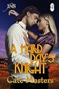 A Hard Day's Knight